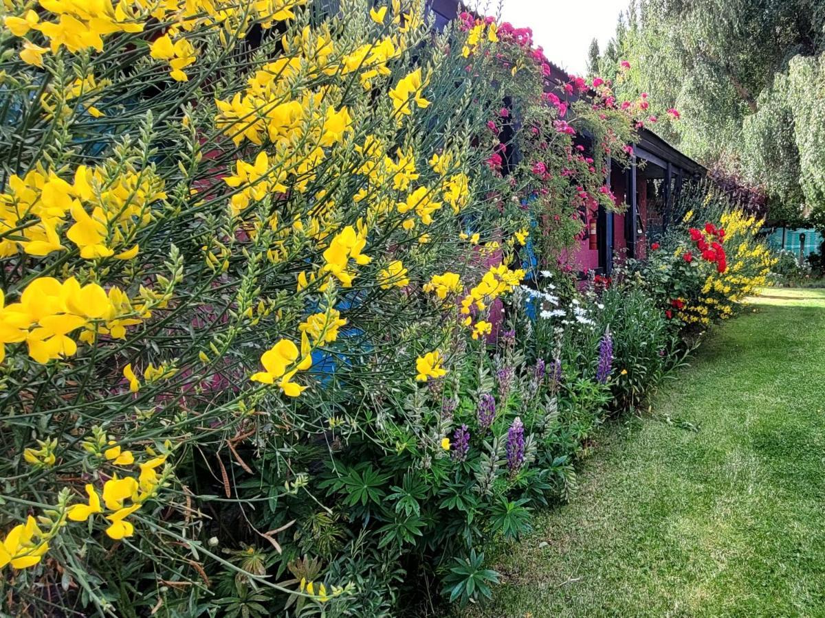 Lago Argentino B&B El Calafate Exterior photo